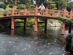 -芽庄珍珠岛游乐园