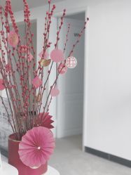 -JNK皮肤管理中心