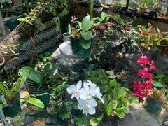 -国家植物园南园