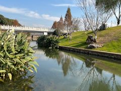 -羊山湖公园