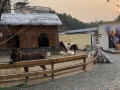 -HERRE·FARM 赫尔露营农场·团建聚会包场