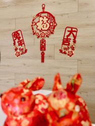 -酉嘉瑜伽YO+YOGA