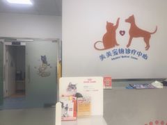 -美美宠物诊疗中心·异宠·骨科(滨江东信分院)