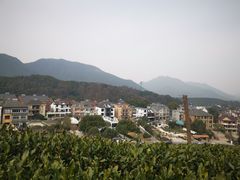 -听风阁农家私房菜茶楼(龙坞店)