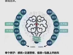 -金色雨林感统训练·专注力·语言认知·心理沙盘(天通苑校区)