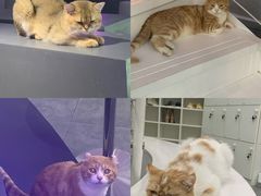 -极木²邸 人与宠物·互动社区