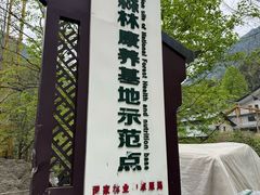 -大鄣山卧龙谷景区