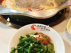 -红姐重庆火锅(曙光路店)