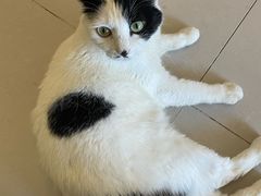 -平行世界·猫咖(首经贸店)