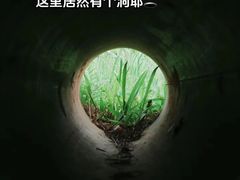 -福田红树林生态公园