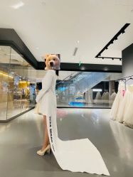 -Vera Wang婚纱礼服旗舰店