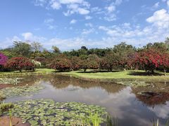 -中国科学院西双版纳热带植物园