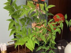 -小厨娘淮扬菜(天印大道店)