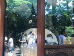 -三鹰之森吉卜力美术馆