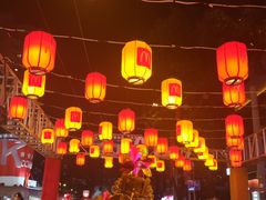 -越秀西湖花市(广州城市广场花卉店)