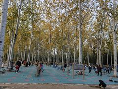 -森林公园(尖草坪区)