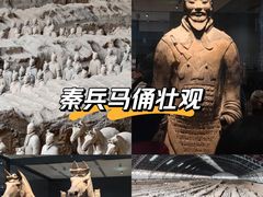 -秦始皇帝陵博物院-丽山园