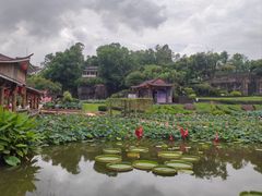 -广州莲花山旅游区