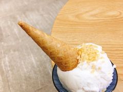 椰子-歎雪糕低糖低脂Gelato冰淇淋
