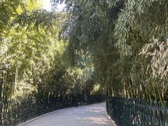 -红螺寺