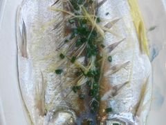 -品鲜村农家菜·阳澄湖大闸蟹(总店)