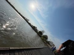 -盐城丹顶鹤湿地生态旅游区