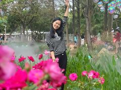 -人民公园(罗湖区)