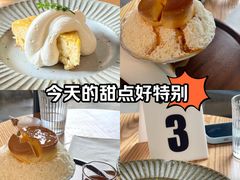 -猫里有甜