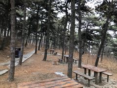 -北京西山国家森林公园