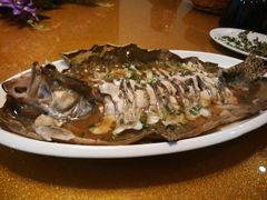 -呼吸森林·生态农庄农家乐私房菜