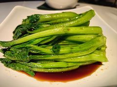 白灼广东菜心-申粤轩·手工点心·金牌烧味·经典粤菜(丁香花园店)