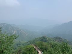 -大岭沟猕猴桃谷风景区