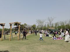 -上海长兴岛郊野公园