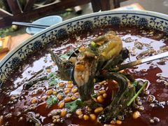 -青城甲(青城山店)