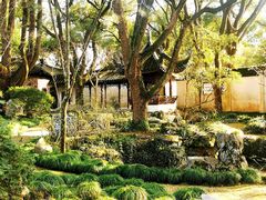 -上海醉白池公园