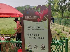 -长兴太湖图影湿地文化园