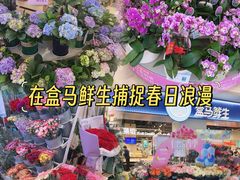 -盒马鲜生(皇庭广场店)