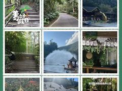 -西双版纳原始森林公园