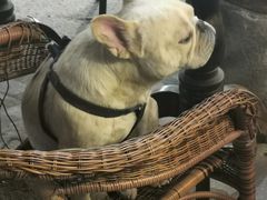 -老味道(田子坊店)