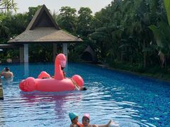 -厦门日月谷温泉渡假村