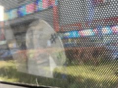 -京北大世界