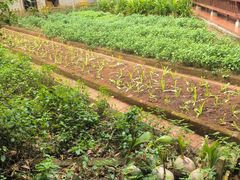 -福山迈臣农家乐