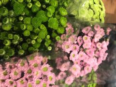 -盒马鲜生(岭南新世界店)