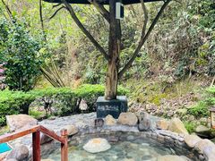 -明月山天沐温泉度假村