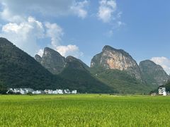 -钟山水墨田园