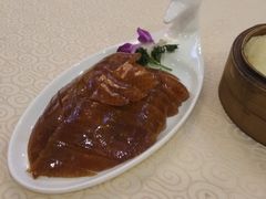 -九花山烤鸭店