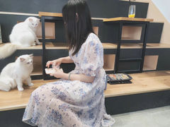-瞄一喵猫咖(格力海岸店)
