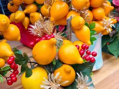 -越秀西湖花市(广州城市广场花卉店)