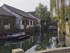 -鲁镇