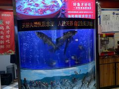 -潇湘码头·鲜湘菜(清河店)